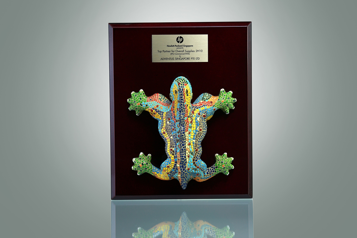 HP Top Partner For Overall Supplies 2010